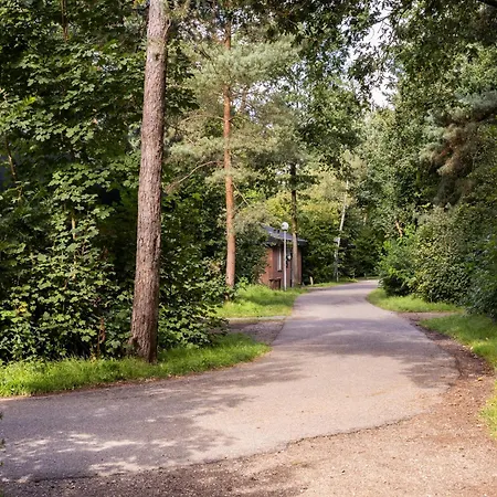 In The Netherlands *