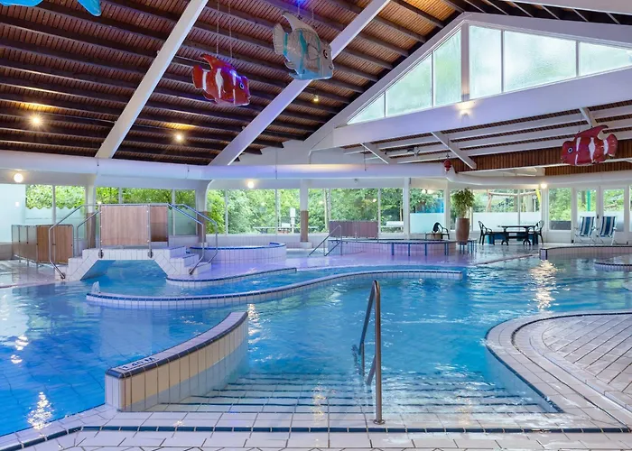 In The Netherlands *